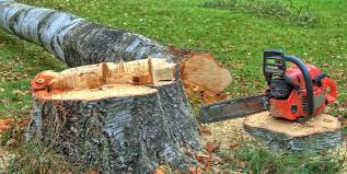 Best Stump Grinding and Removal  in Sappington, MO